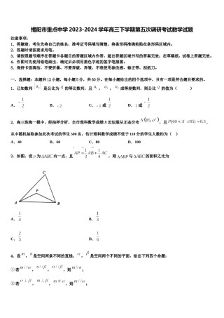 揭阳市重点中学2023-2024学年高三下学期第五次调研考试数学试题含解析.doc