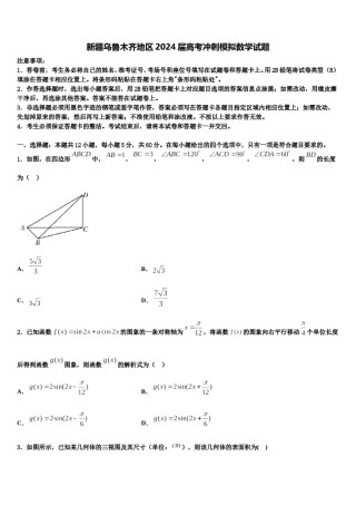 新疆乌鲁木齐地区2024届高考冲刺模拟数学试题含解析.doc