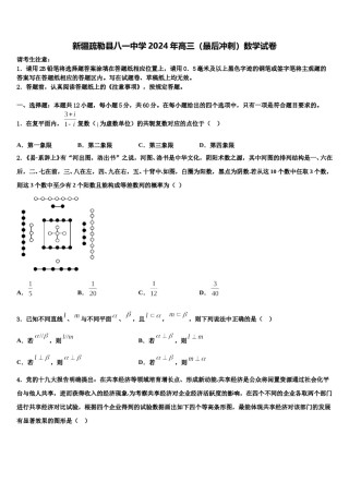 新疆疏勒县八一中学2024年高三（最后冲刺）数学试卷含解析.doc