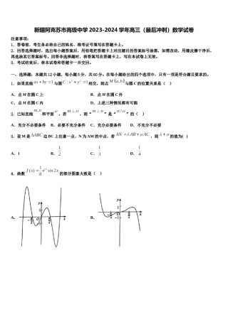 新疆阿克苏市高级中学2023-2024学年高三（最后冲刺）数学试卷含解析.doc