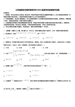 江苏省南京市程桥高级中学2024届高考仿真卷数学试题含解析.doc