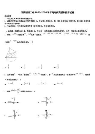 江西新建二中2023-2024学年高考仿真模拟数学试卷含解析.doc