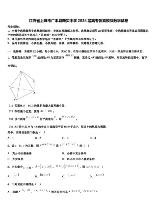 江西省上饶市广丰县新实中学2024届高考仿真模拟数学试卷含解析.doc