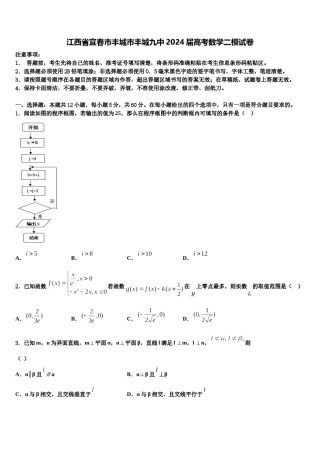 江西省宜春市丰城市丰城九中2024届高考数学二模试卷含解析.doc