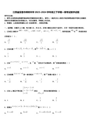 江西省宜春市樟树中学2023-2024学年高三下学期一模考试数学试题含解析.doc