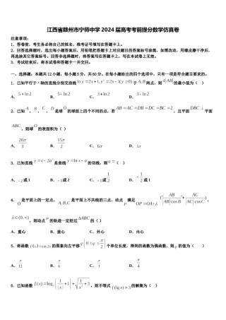 江西省赣州市宁师中学2024届高考考前提分数学仿真卷含解析.doc