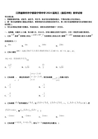 江西省赣州市宁都县宁师中学2024届高三（最后冲刺）数学试卷含解析.doc