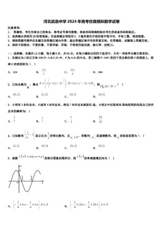 河北武邑中学2024年高考仿真模拟数学试卷含解析.doc