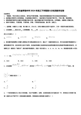 河北省枣强中学2024年高三下学期第六次检测数学试卷含解析.doc