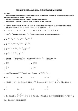 河北省河间市第一中学2024年高考适应性考试数学试卷含解析.doc