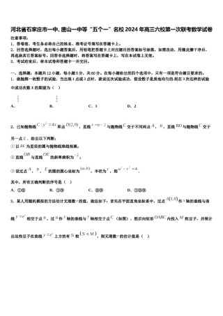 河北省石家庄市一中、唐山一中等“五个一”名校2024年高三六校第一次联考数学试卷含解析.doc