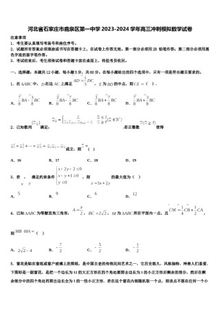 河北省石家庄市鹿泉区第一中学2023-2024学年高三冲刺模拟数学试卷含解析.doc