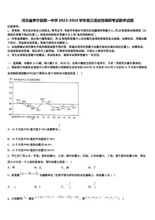 河北省肃宁县第一中学2023-2024学年高三适应性调研考试数学试题含解析.doc