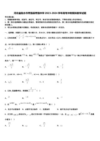 河北省衡水市枣强县枣强中学2023-2024学年高考冲刺模拟数学试题含解析.doc