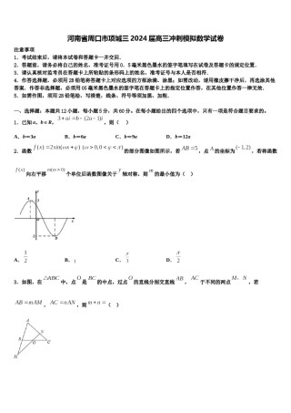 河南省周口市项城三2024届高三冲刺模拟数学试卷含解析.doc