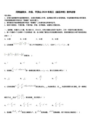 河南省新乡、许昌、平顶山2024年高三（最后冲刺）数学试卷含解析.doc