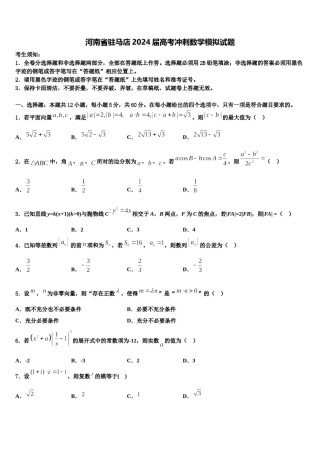 河南省驻马店2024届高考冲刺数学模拟试题含解析.doc