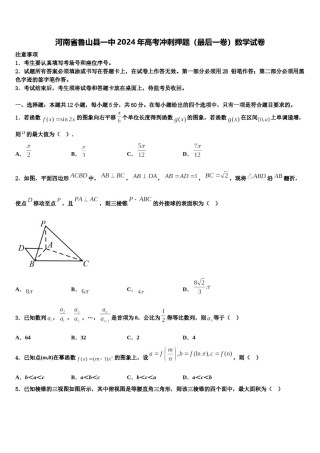 河南省鲁山县一中2024年高考冲刺押题（最后一卷）数学试卷含解析.doc