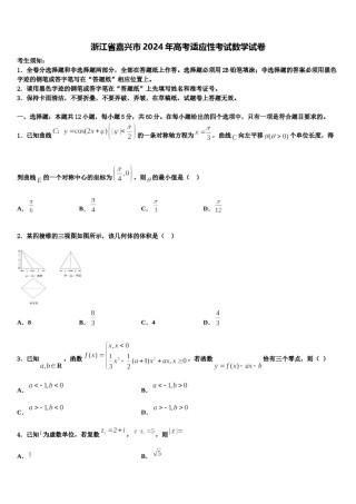 浙江省嘉兴市2024年高考适应性考试数学试卷含解析.doc