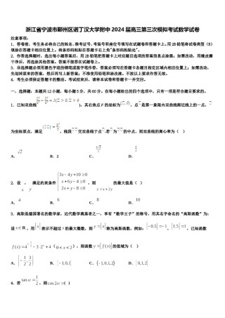浙江省宁波市鄞州区诺丁汉大学附中2024届高三第三次模拟考试数学试卷含解析.doc