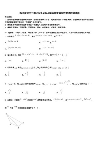 浙江省武义三中2023-2024学年高考适应性考试数学试卷含解析.doc