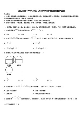 海口市第十中学2023-2024学年高考仿真卷数学试题含解析.doc