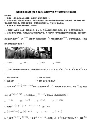 深圳市平湖中学2023-2024学年高三适应性调研考试数学试题含解析.doc