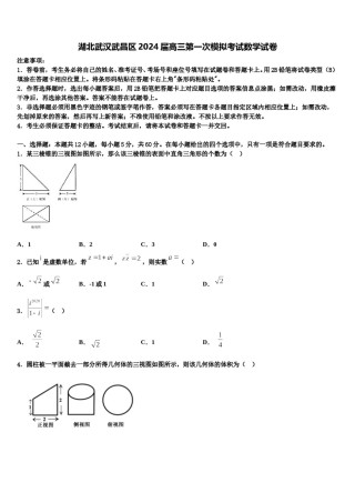 湖北武汉武昌区2024届高三第一次模拟考试数学试卷含解析.doc