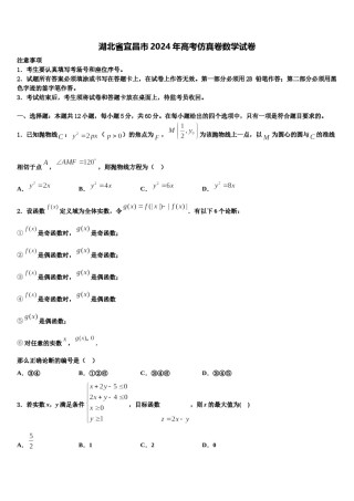 湖北省宜昌市2024年高考仿真卷数学试卷含解析.doc