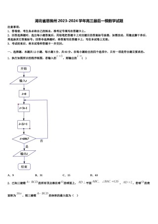 湖北省恩施州2023-2024学年高三最后一模数学试题含解析.doc