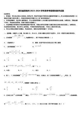 湖北省恩施州2023-2024学年高考考前模拟数学试题含解析.doc