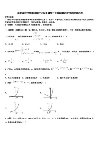 湖北省武汉外国语学校2024届高三下学期第六次检测数学试卷含解析.doc
