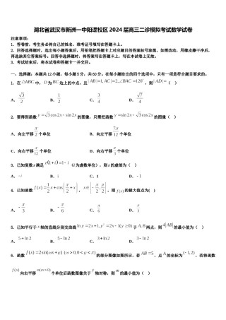 湖北省武汉市新洲一中阳逻校区2024届高三二诊模拟考试数学试卷含解析.doc