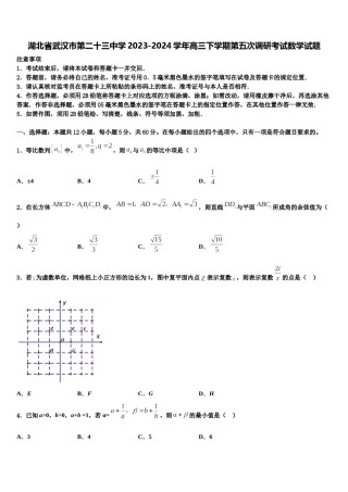 湖北省武汉市第二十三中学2023-2024学年高三下学期第五次调研考试数学试题含解析.doc