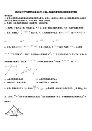 湖北省武汉市第四中学2023-2024学年高考数学全真模拟密押卷含解析.doc