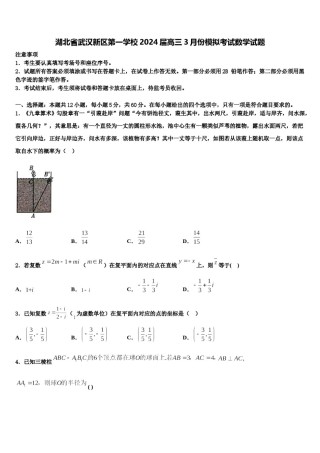 湖北省武汉新区第一学校2024届高三3月份模拟考试数学试题含解析.doc