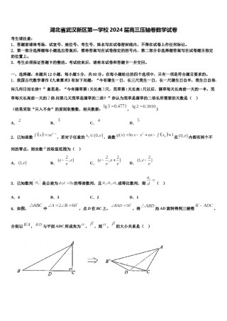 湖北省武汉新区第一学校2024届高三压轴卷数学试卷含解析.doc