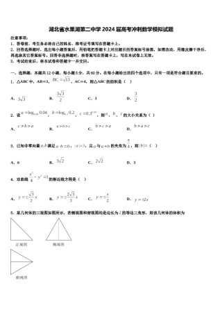 湖北省水果湖第二中学2024届高考冲刺数学模拟试题含解析.doc