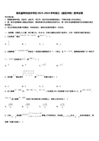 湖北省荆州成丰学校2023-2024学年高三（最后冲刺）数学试卷含解析.doc