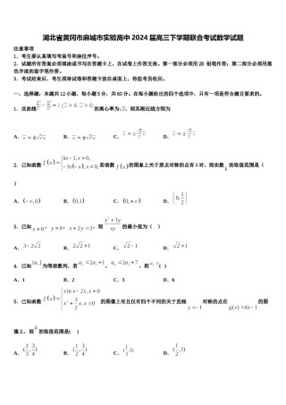 湖北省黄冈市麻城市实验高中2024届高三下学期联合考试数学试题含解析.doc