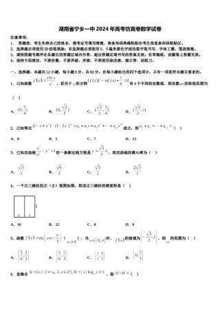 湖南省宁乡一中2024年高考仿真卷数学试卷含解析.doc
