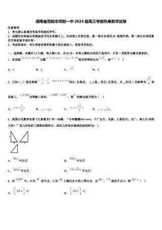 湖南省岳阳市岳阳一中2024届高三考前热身数学试卷含解析.doc