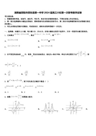 湖南省邵阳市邵东县第一中学2024届高三六校第一次联考数学试卷含解析.doc