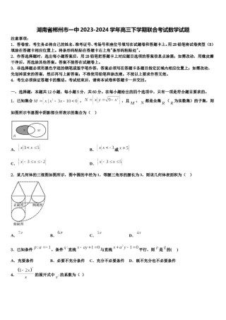 湖南省郴州市一中2023-2024学年高三下学期联合考试数学试题含解析.doc