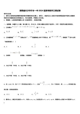 湖南省长沙市宁乡一中2024届高考数学三模试卷含解析.doc