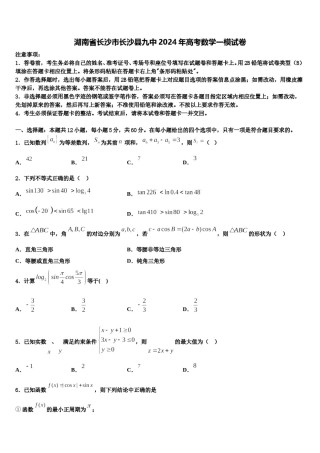湖南省长沙市长沙县九中2024年高考数学一模试卷含解析.doc