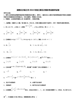 湖南长沙县三中2024年高三第五次模拟考试数学试卷含解析.doc