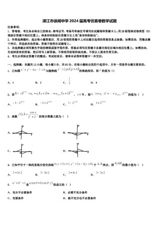 湛江市徐闻中学2024届高考仿真卷数学试题含解析.doc