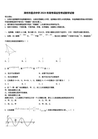 漳州市重点中学2024年高考适应性考试数学试卷含解析.doc