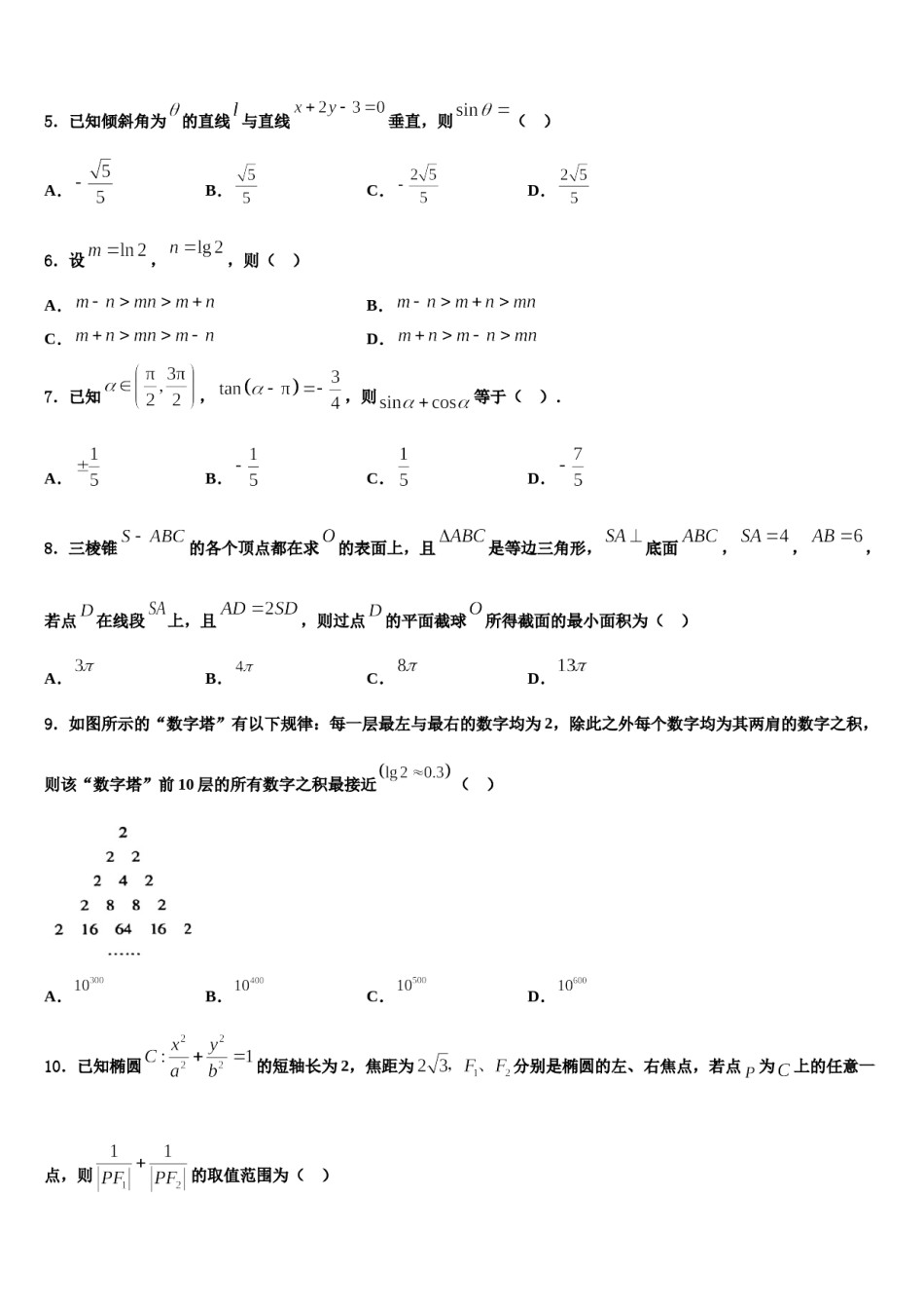 甘肃省合水县第一中学2024届高三第一次模拟考试数学试卷含解析.doc_第2页